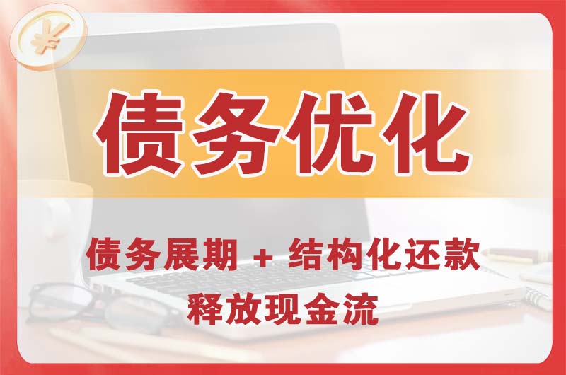 果洛债务优化